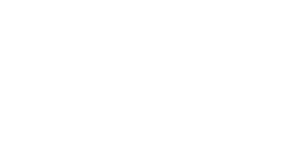 HouseMarkt | 26.-28. Juni 26 | AlbaniFest Winterthur LSS Showtechnik logo